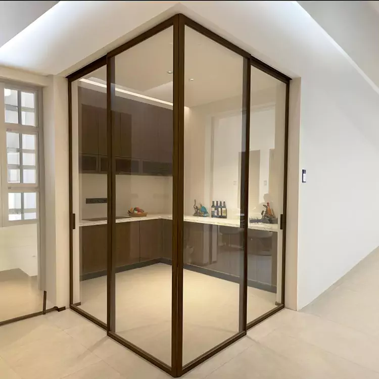 Frameless Glass Sliding Door
